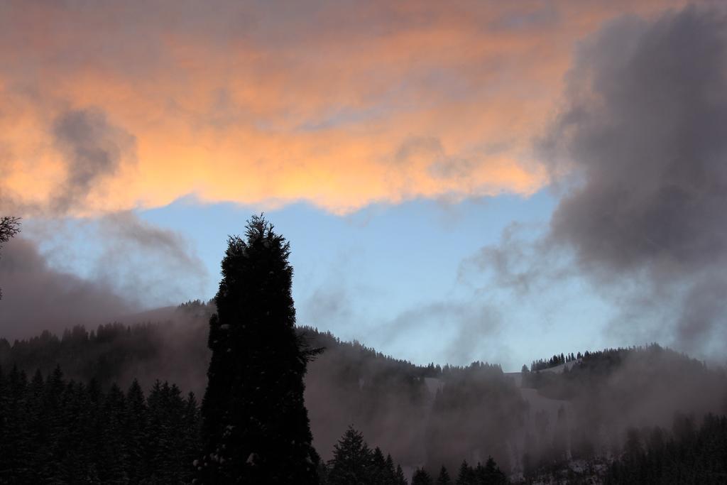 Berggasthof Willy Merkl Haus Spitzingsee Luaran gambar